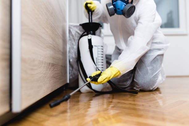 Pest Control for Restaurants in Coshocton, OH