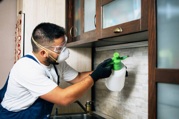 Best Pest Prevention Services  in Coshocton, OH