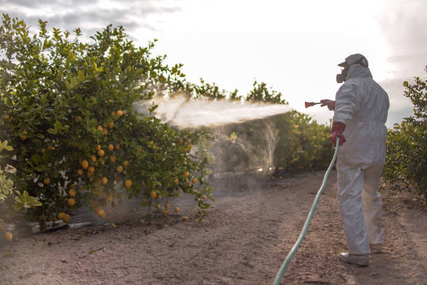 Best Mosquito Control Services  in Coshocton, OH
