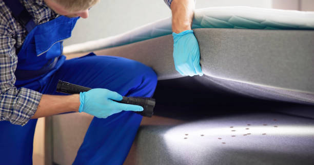 Best Ant Control Services  in Coshocton, OH