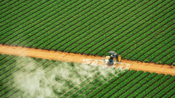 Best Pest Removal Services  in Coshocton, OH